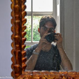 big size photo in the gallery