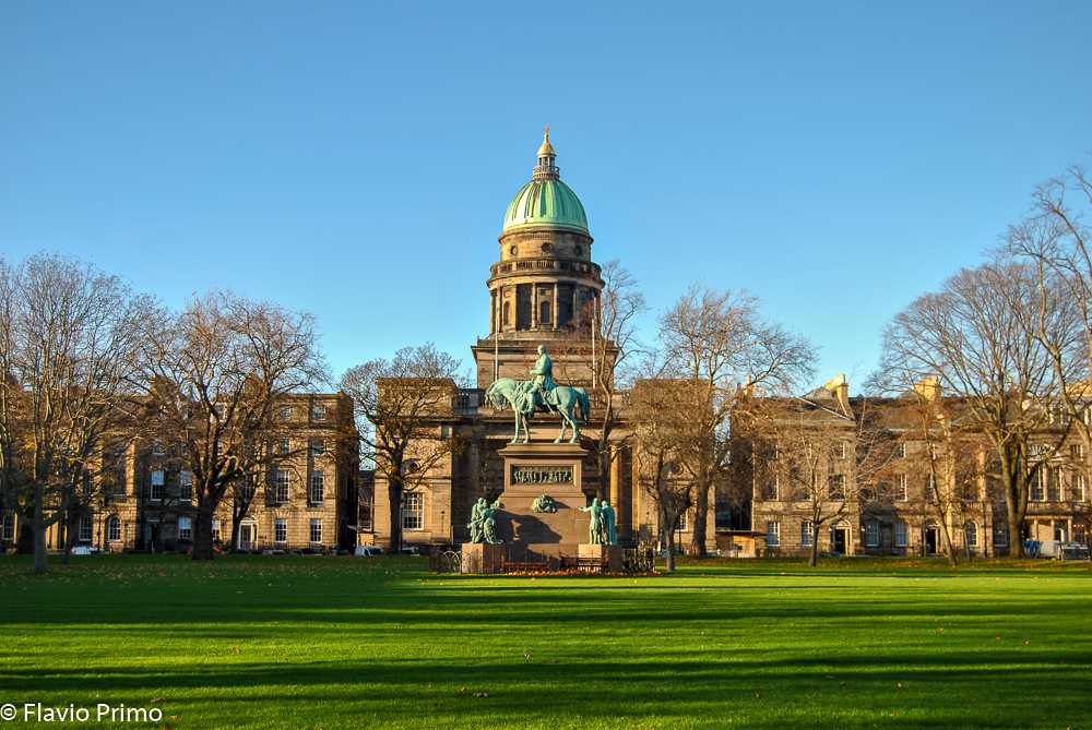 photo in the gallery