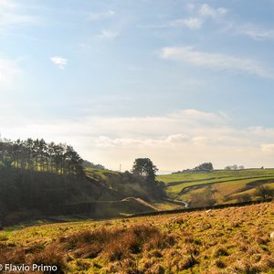 big size photo in the gallery