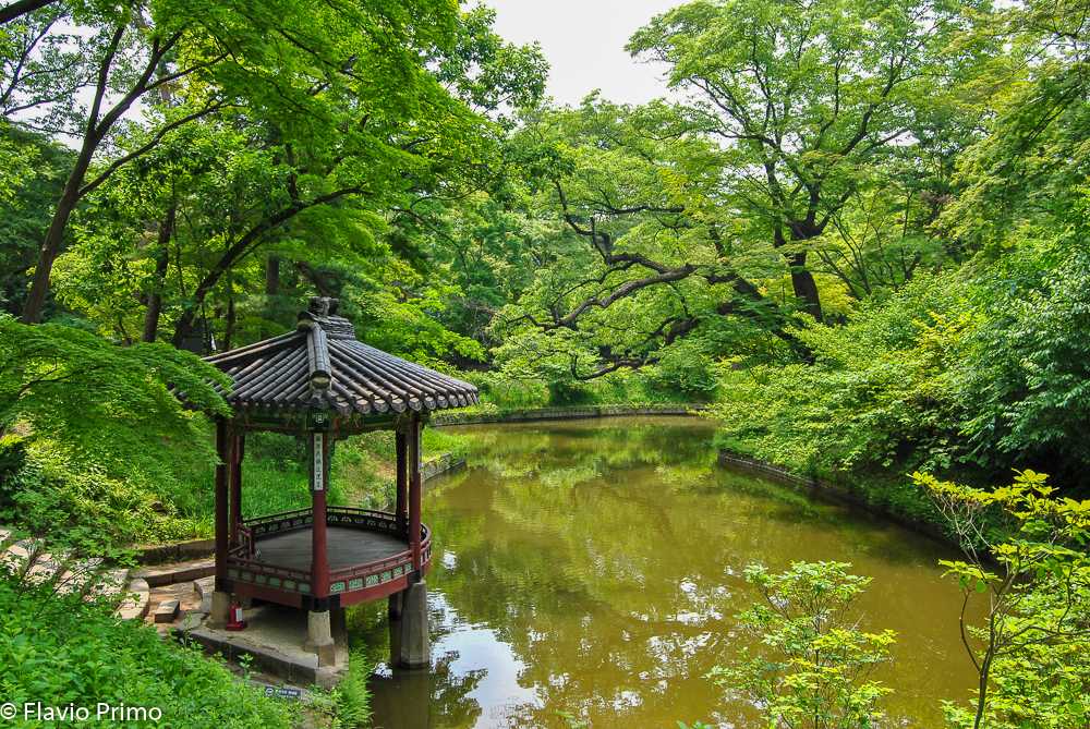 photo in the gallery