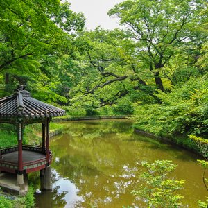 big size photo in the gallery