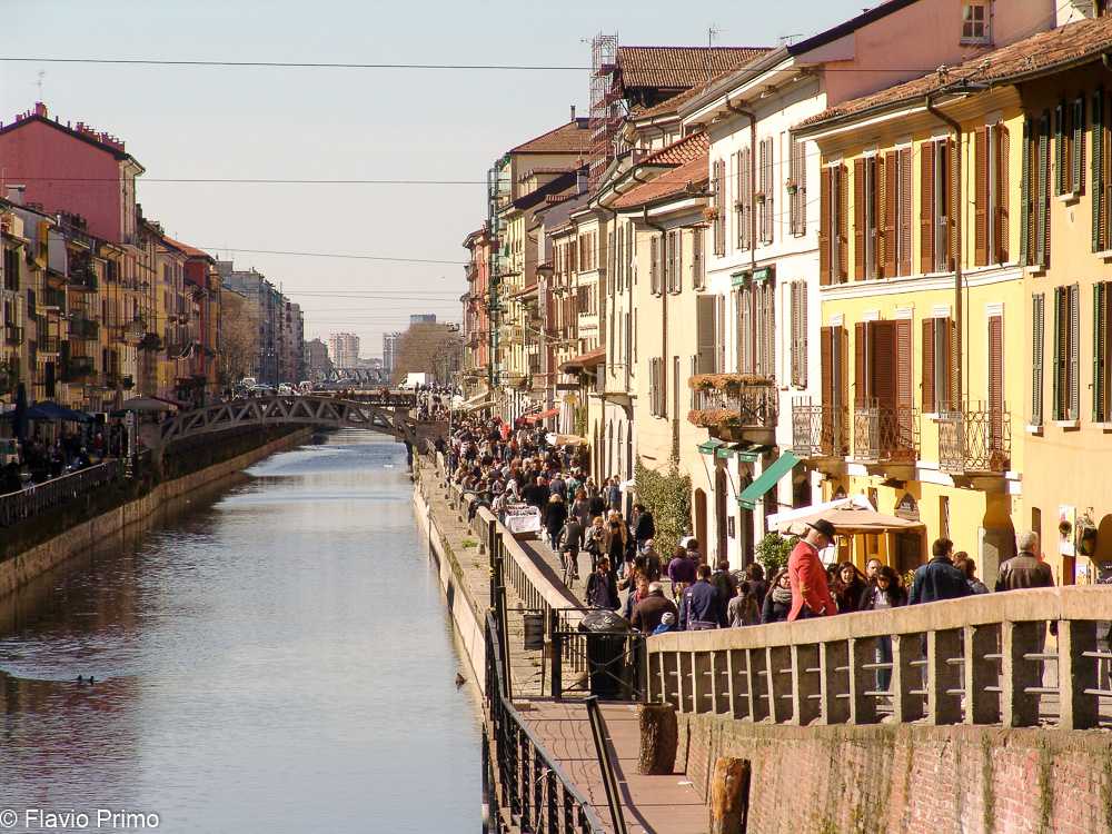 photo in the gallery