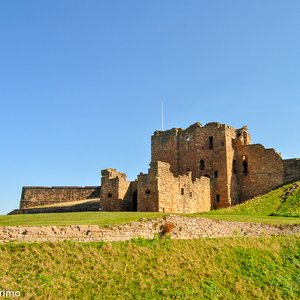 big size photo in the gallery