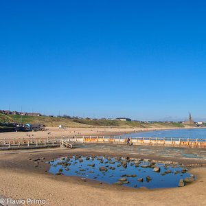 big size photo in the gallery