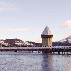 big size photo in the gallery