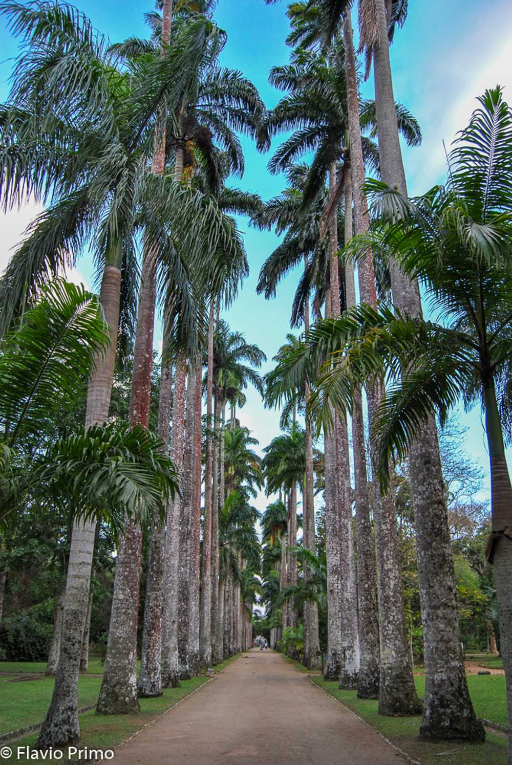 photo in the gallery