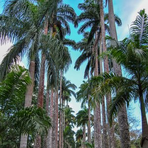 big size photo in the gallery