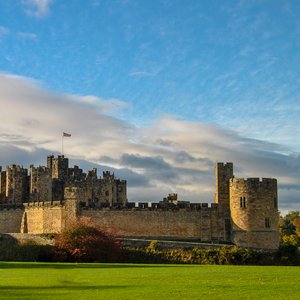 big size photo in the gallery