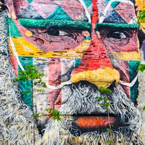 big size photo in the gallery