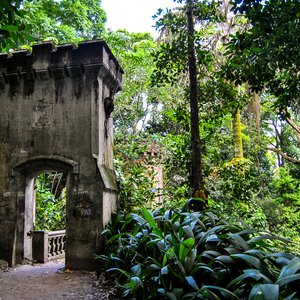 big size photo in the gallery