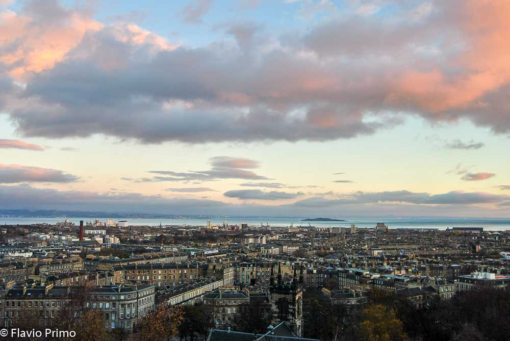 photo in the gallery