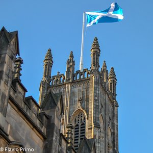 big size photo in the gallery