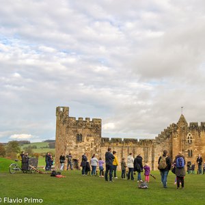 big size photo in the gallery