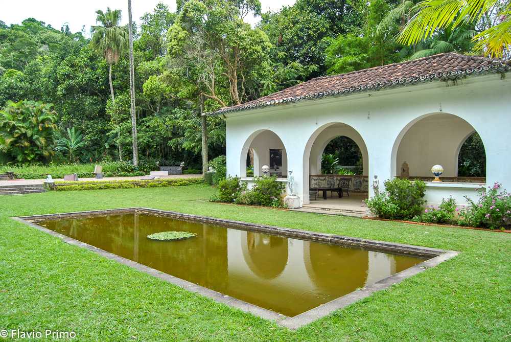 photo in the gallery