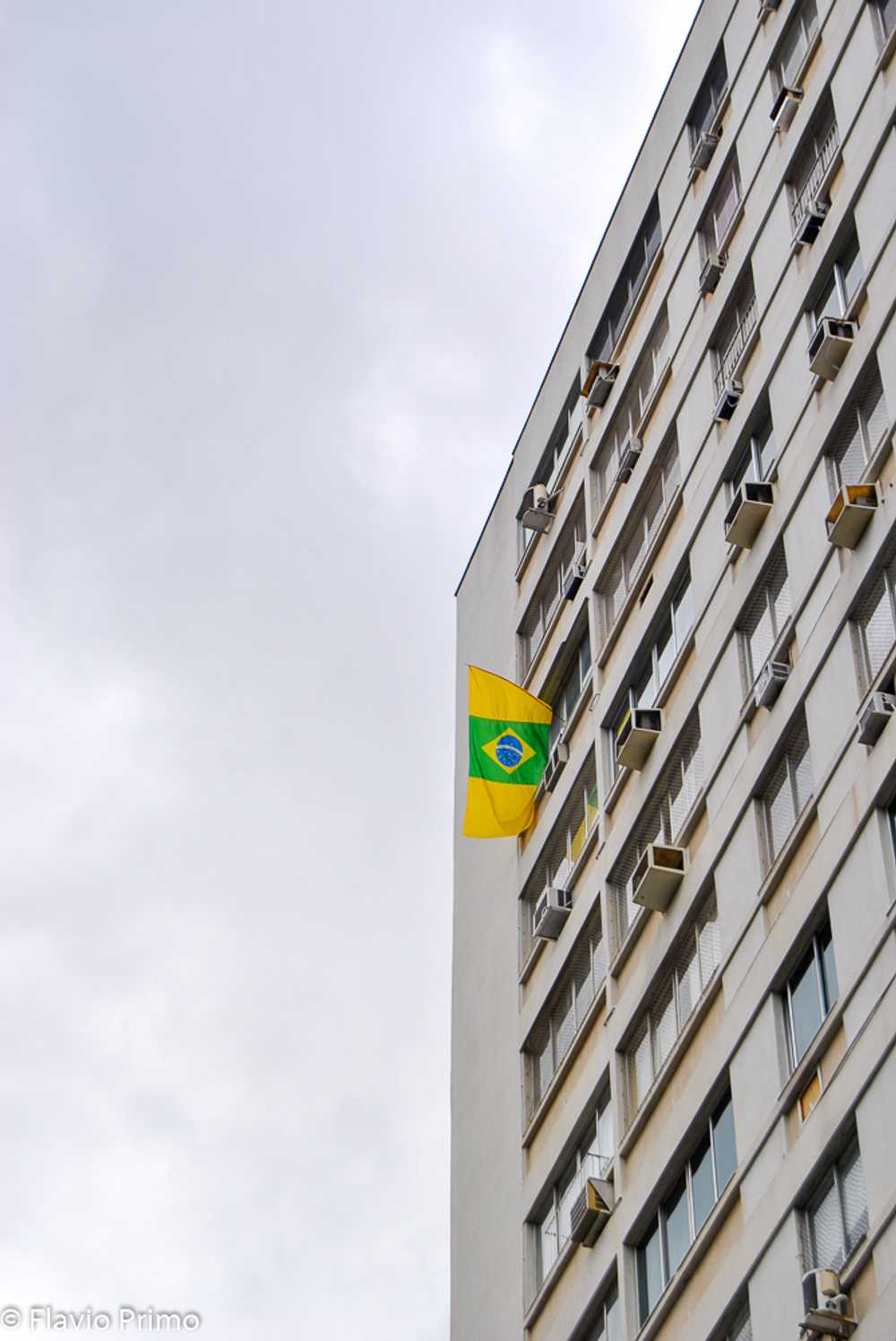 photo in the gallery