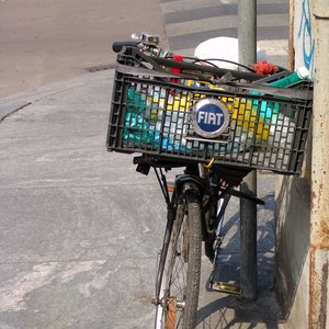 big size photo in the gallery