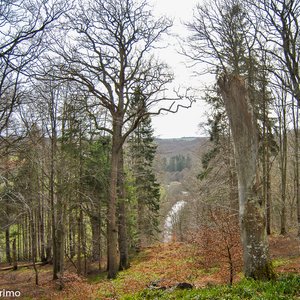 big size photo in the gallery