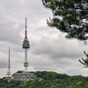 big size photo in the gallery