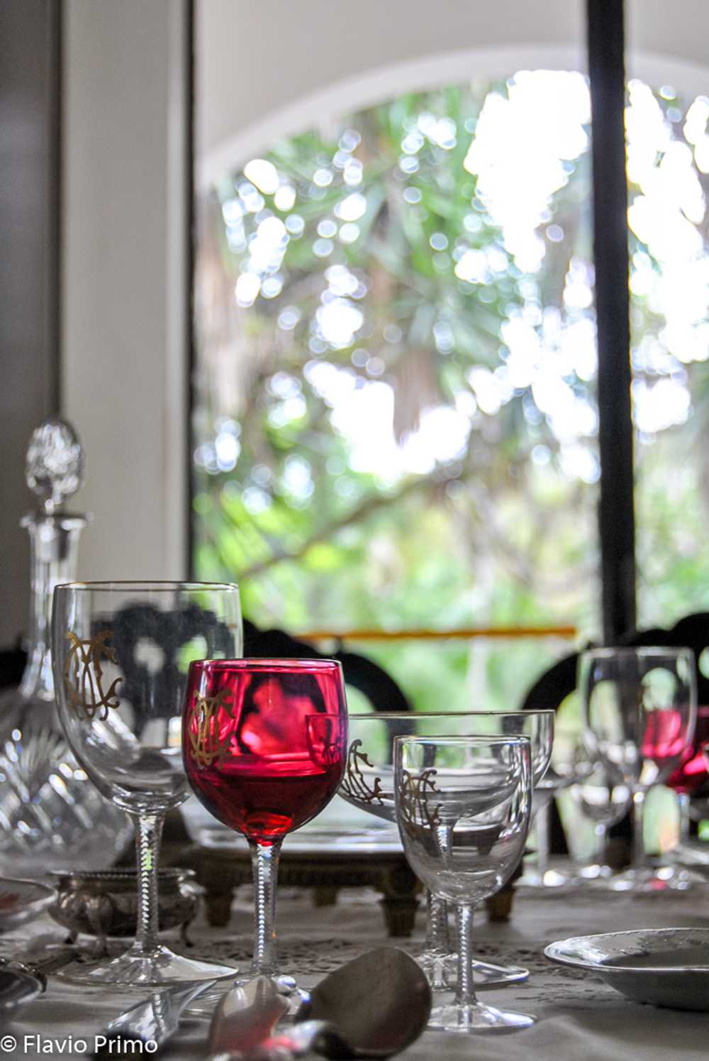 photo in the gallery