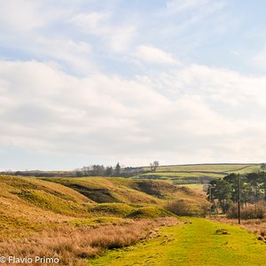 big size photo in the gallery