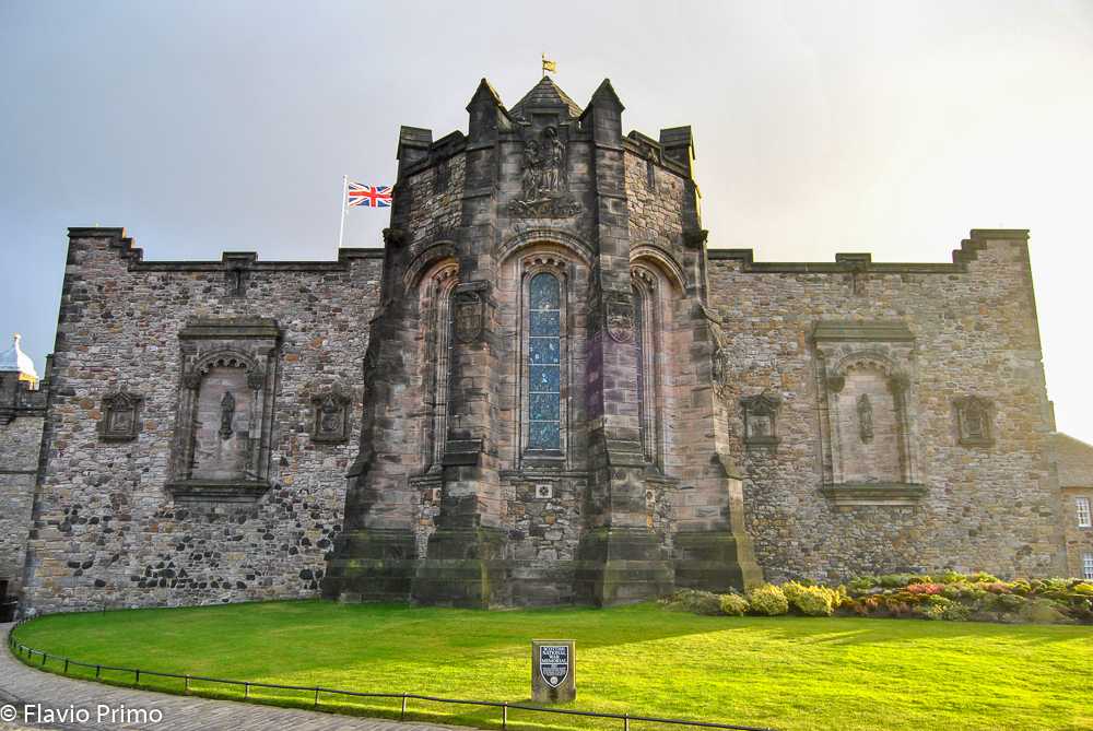 photo in the gallery