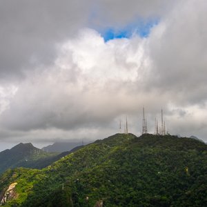 big size photo in the gallery