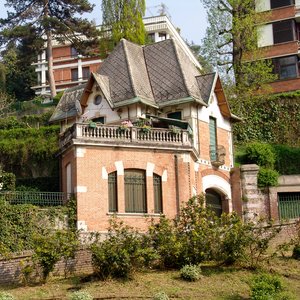 big size photo in the gallery