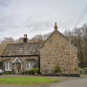 big size photo in the gallery