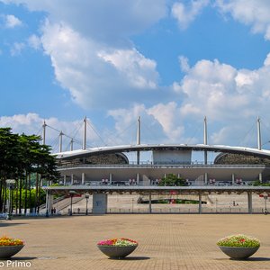 big size photo in the gallery