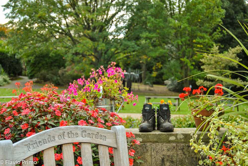 photo in the gallery