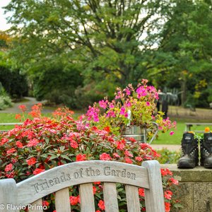 big size photo in the gallery