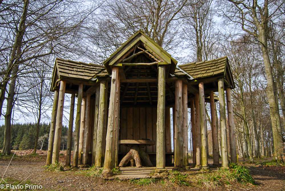 photo in the gallery