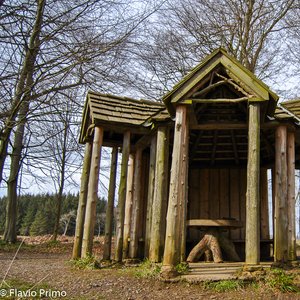 big size photo in the gallery