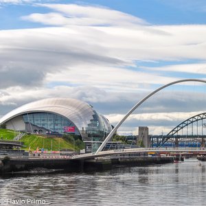 big size photo in the gallery