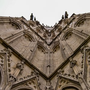 big size photo in the gallery