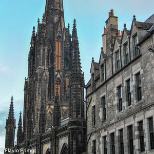 big size photo in the gallery