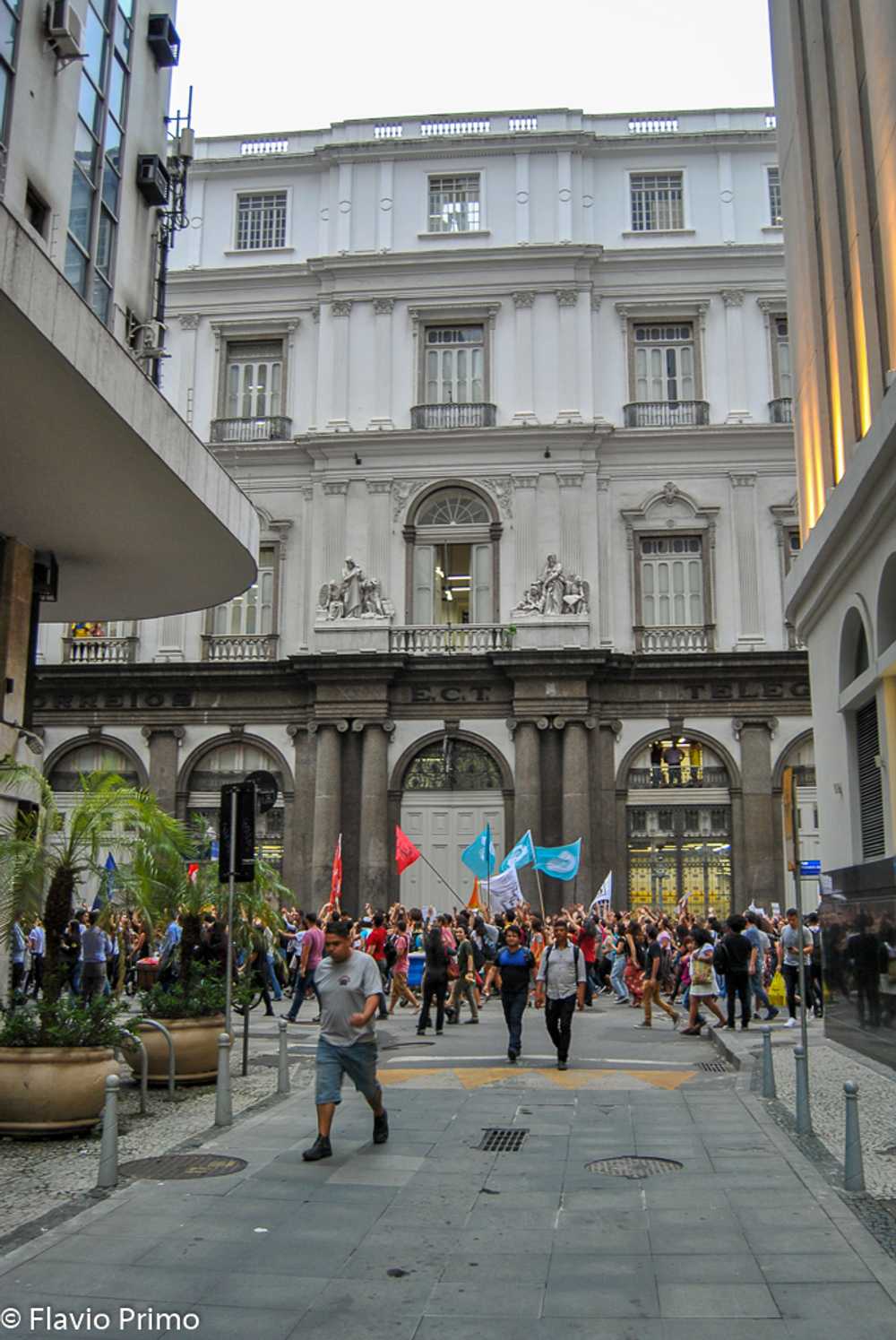 photo in the gallery