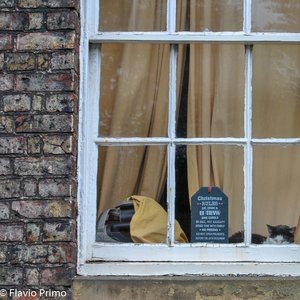 big size photo in the gallery