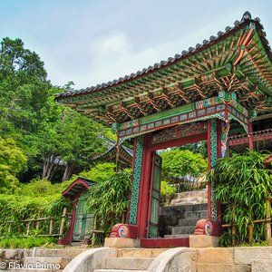 big size photo in the gallery