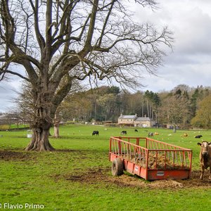 big size photo in the gallery