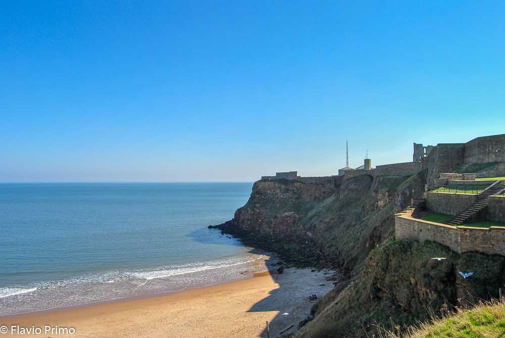 photo in the gallery