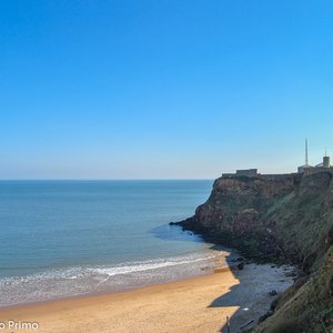 big size photo in the gallery