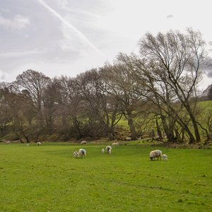 big size photo in the gallery