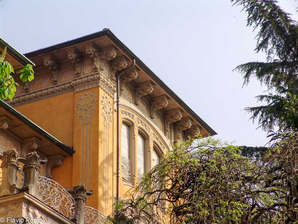 photo in the gallery