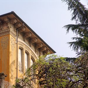 big size photo in the gallery