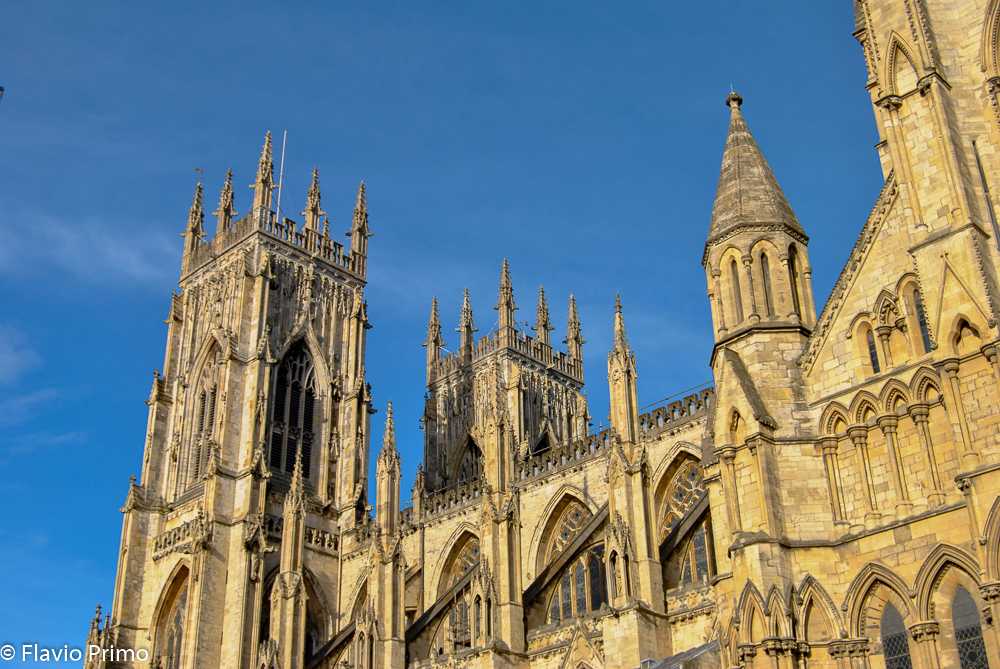 photo in the gallery