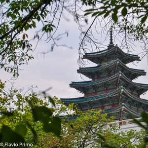 big size photo in the gallery