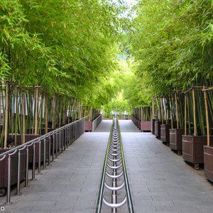 big size photo in the gallery