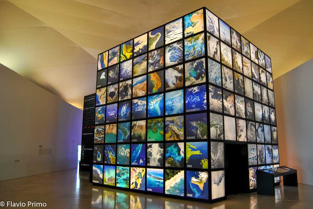 photo in the gallery