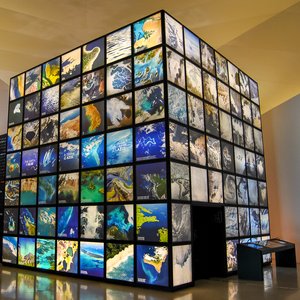 big size photo in the gallery